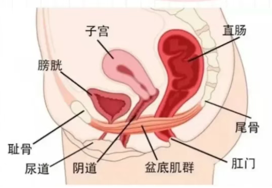 7bf4c3a2-3034-4fc6-b091-cb83fbd3d218