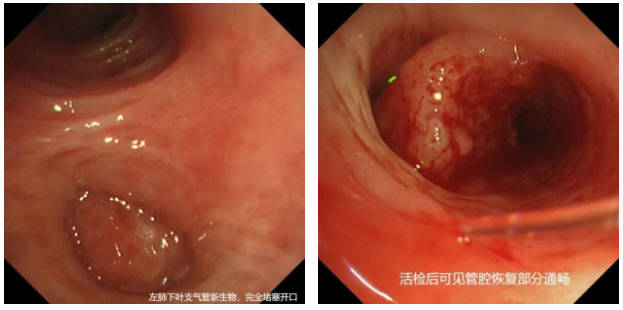 c04cb5e4-a7d5-4179-b973-85f955172372