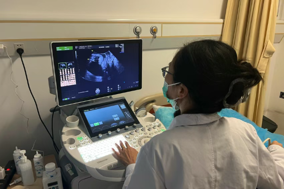 cfe88872-5a58-495e-bd04-b52e6d595deb