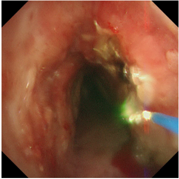 8a69178b-08b8-436e-a427-57866c3b39ed